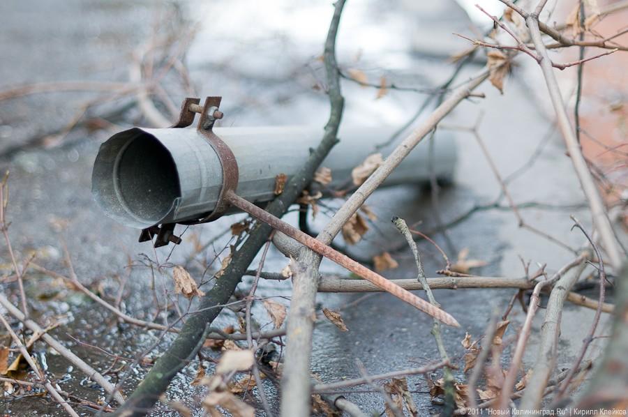 «А поутру они проснулись»: фоторепортаж «Нового Калининграда.Ru»