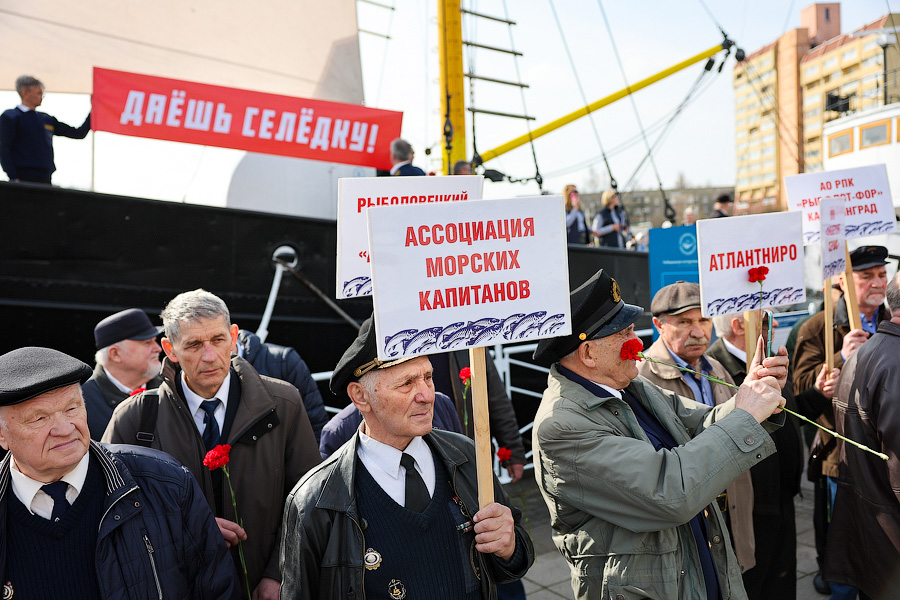 Селедка под сакурой: как прошел самый известный в России калининградский праздник (фото)