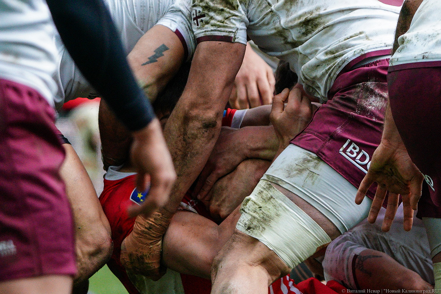 На стадионе «Калининград» снова сыграли в регби. Вот как Россия проиграла Грузии