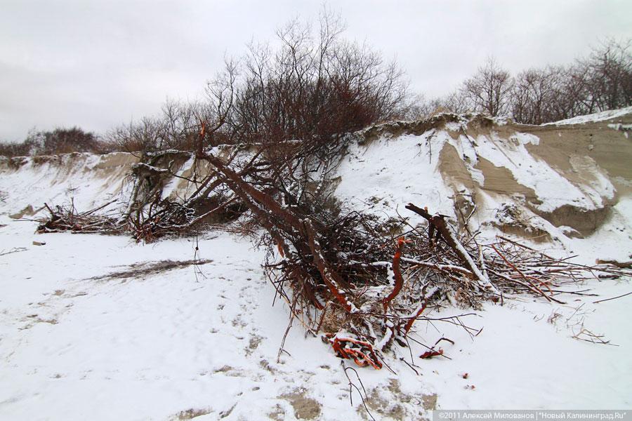 «Нацпарк штормового периода»: фоторепортаж «Нового Калининграда.Ru»