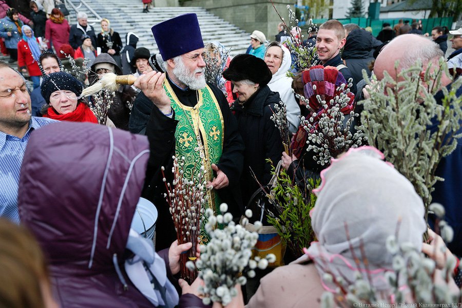 «Цветики да вербочки»: как прошло богослужение в Вербное воскресенье (фото)