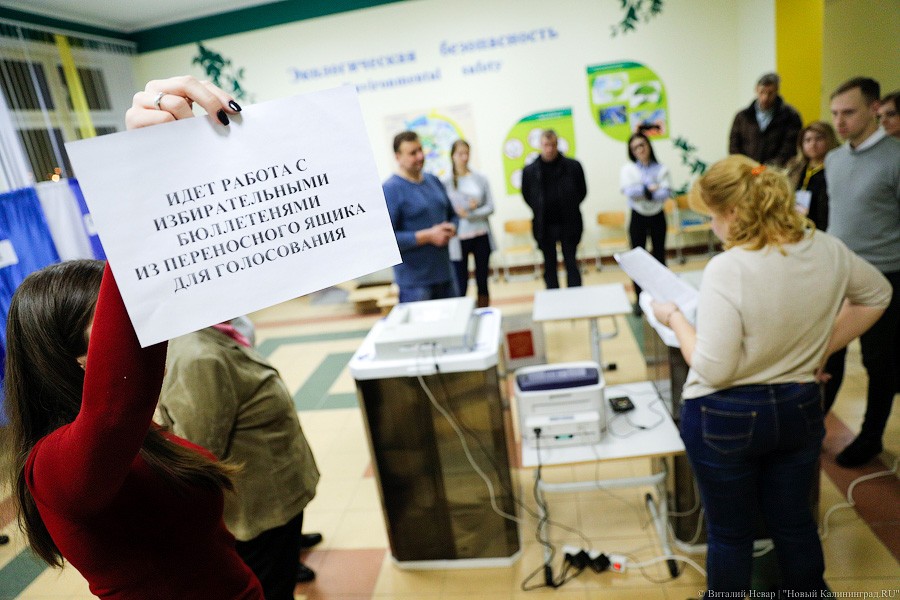Легитимизируя данность: как в Калининграде проходил подсчет голосов (фото)
