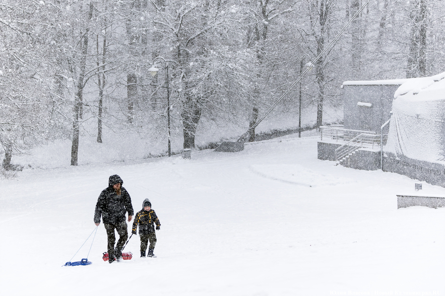 Пролетая на ватрушке: как в Центральном парке катаются с горки вопреки запретам (фото)