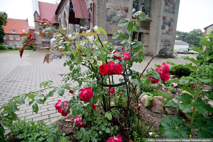 Розы и крест: кирха в Янтарном процветает благодаря пожертвованиям прихожан