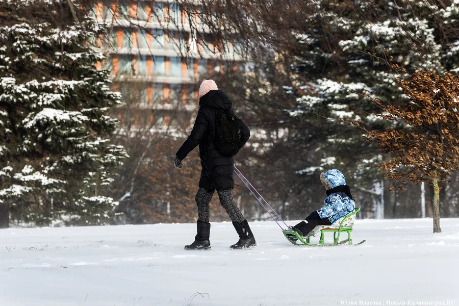 В СФР назвали число детей, на которых выплачивали единое пособие в 2025 году
