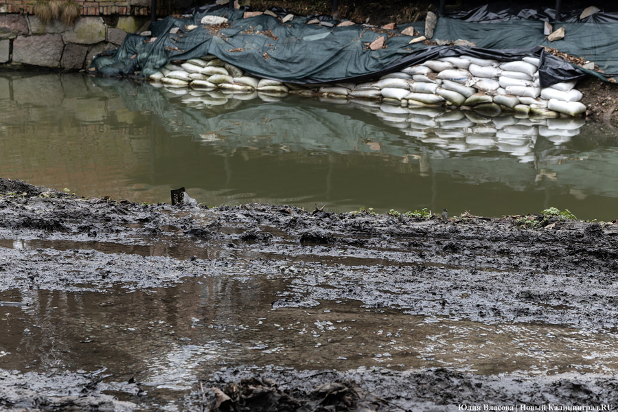 Непролазная грязь: как выглядит берег Литовского ручья в ожидании реновации (фото)