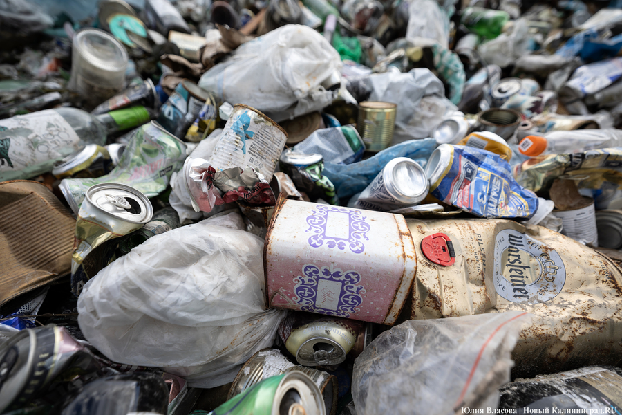 «Стихией управлять не научились»: как глава Минприроды РФ понюхал воздух в Круглово (фото)