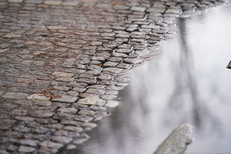 Погода в Калининграде 18 ноября