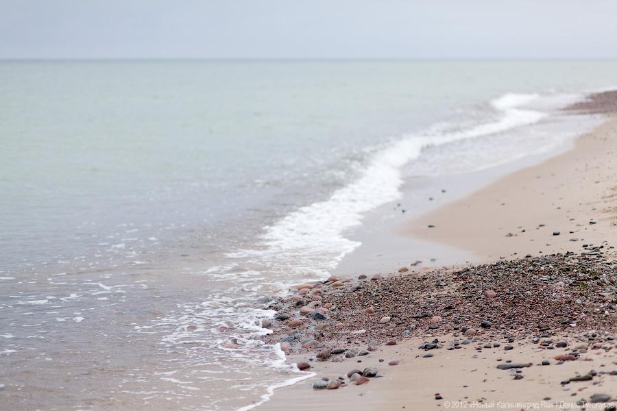 «Укротители кайтов»: фоторепортаж с фестиваля воздушных змеев