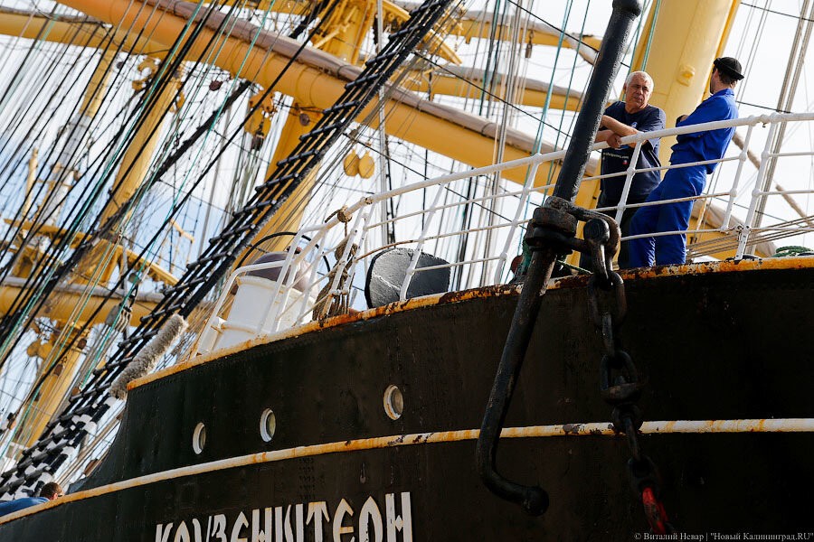 Фото — Виталий Невар, «Новый Калининград»