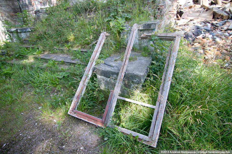 Остатки роскоши прусского барокко: усадьба в Рощино в проекте «Пустые дома»