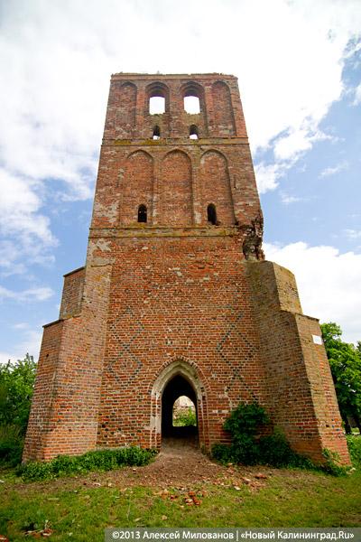 Навоз и куры: кирха 14-го века в поселке Каштаново стала пастбищем для скота