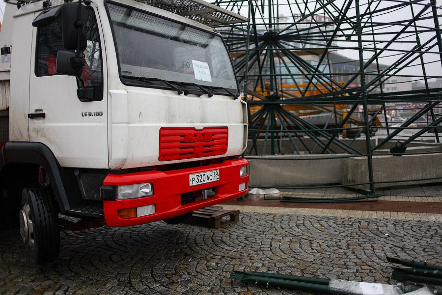 От каркаса до игрушки: в Калининграде собрали главную городскую елку