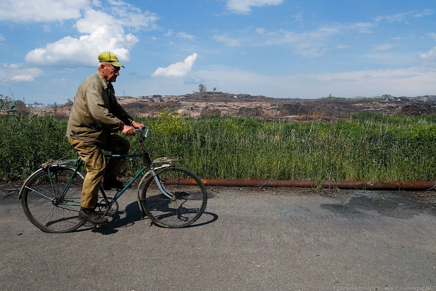 «Пламя из недр»: что происходит на горящих короотвалах в Калининграде (фото)