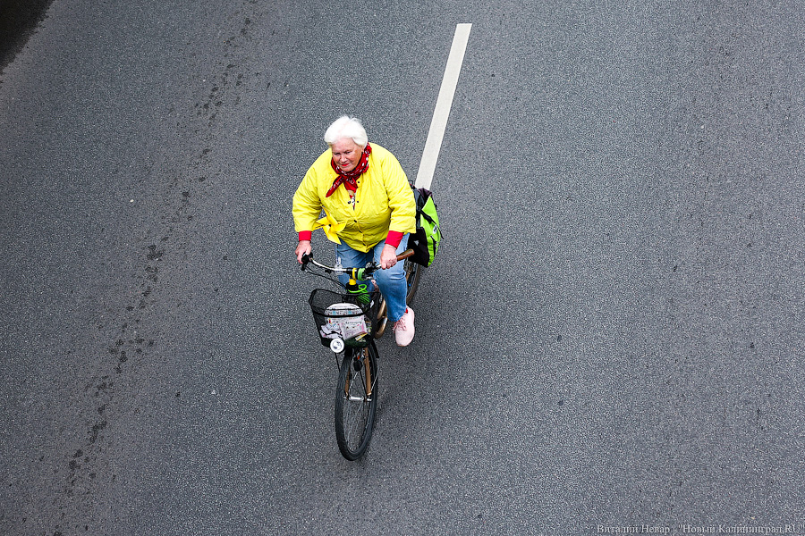 Лыжи, велики, унициклы: как прошёл велопарад в Калининграде (фото)