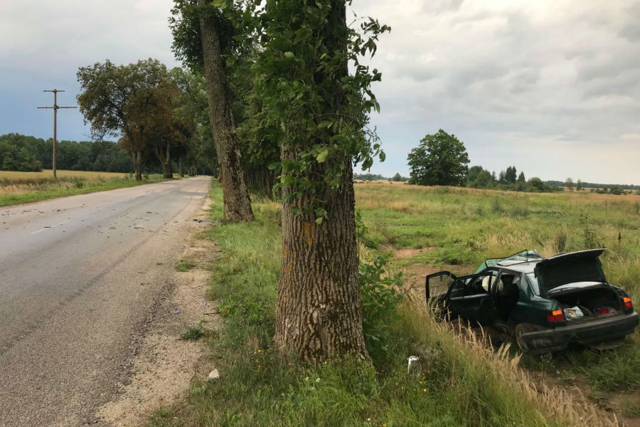 За сутки двое нарушителей попали в больницу, врезавшись в деревья