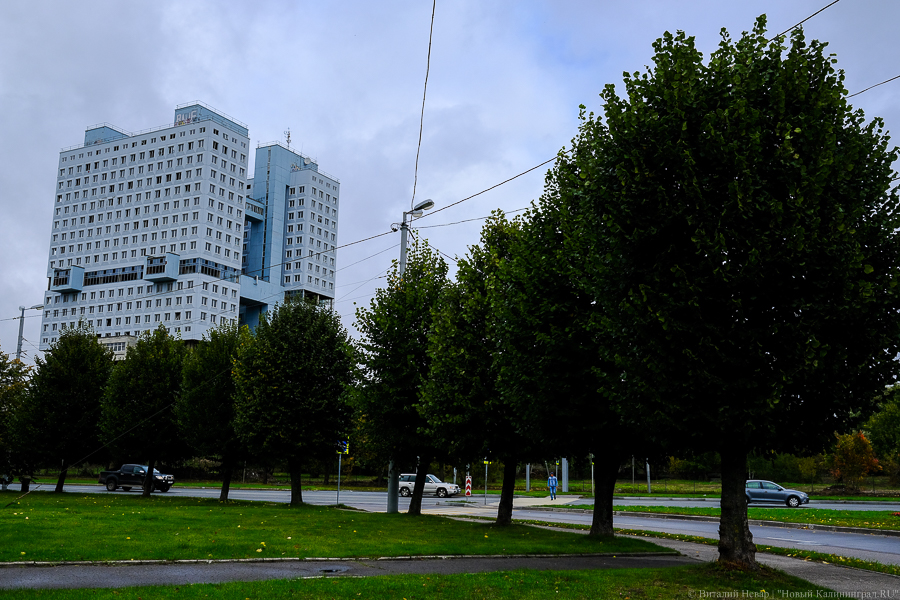 Синоптики обещают калининградцам прохладное и дождливое начало сентября