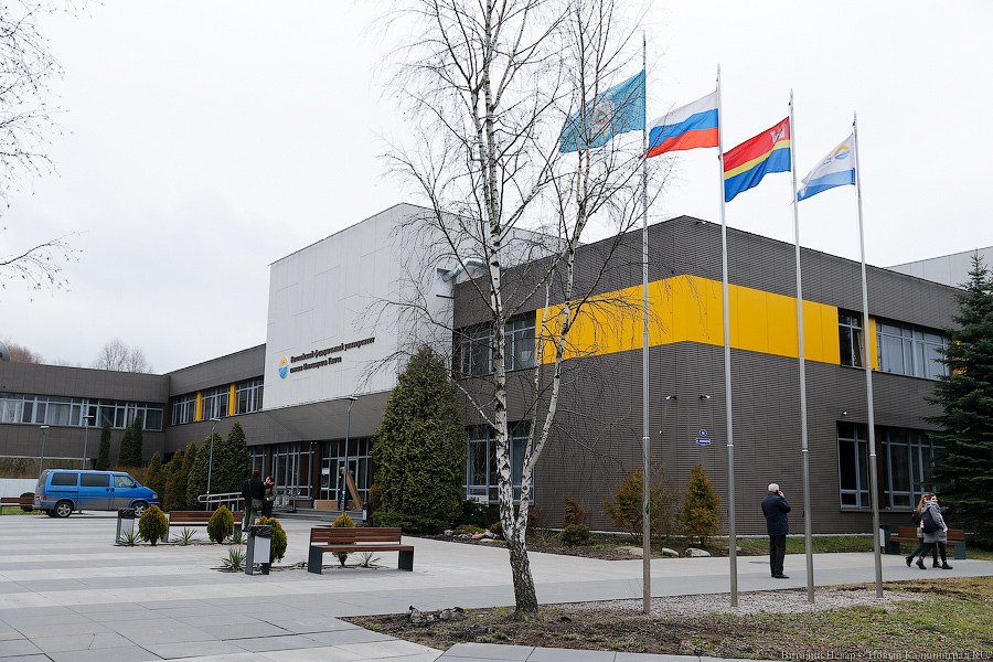 Власти: диплом бакалавра не потеряет своей ценности в новой системе образования