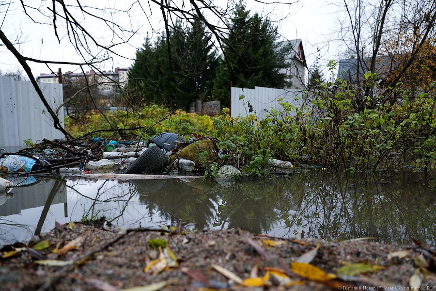 Водный мир на Орудийной: в Калининграде тонет в болоте жилой дом