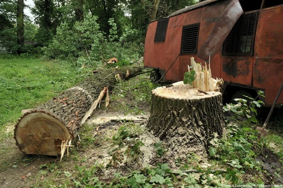 Последствия погрома на Ялтинской: фоторепортаж "Нового Калининграда.Ru"