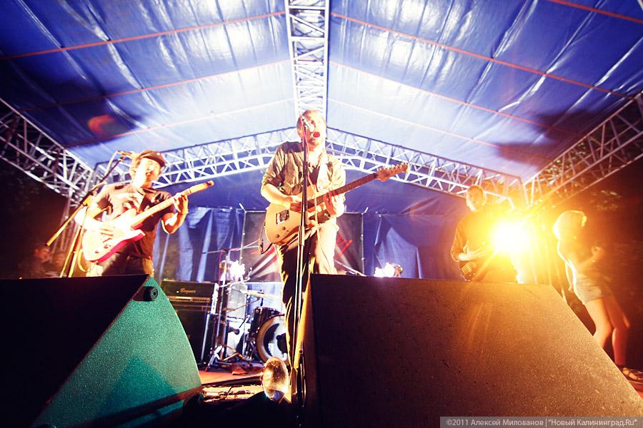 "Насекомая страна": фоторепортаж "Афиши Нового Калининграда.Ru"