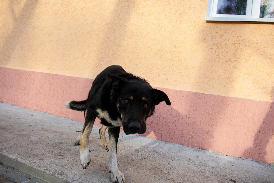 Не помирились: губернатор не приехал в Балтийск открывать новые детсады