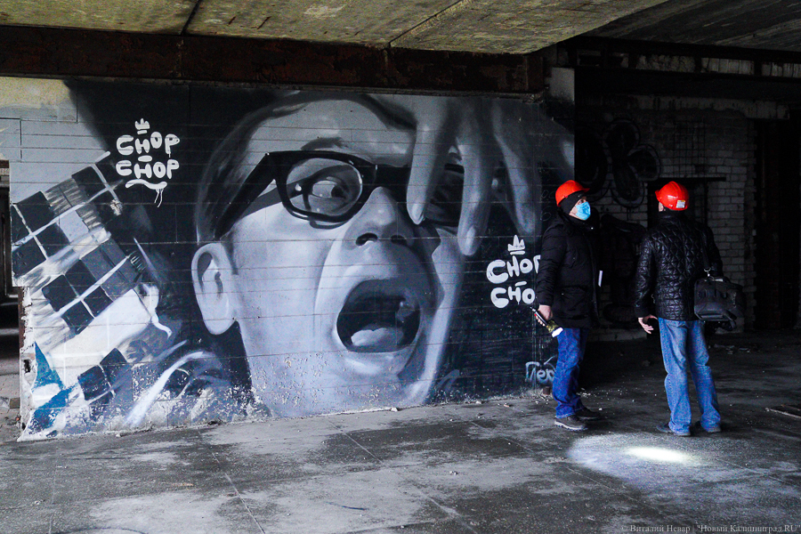 Советник губернатора призвал регламентировать стрит-арт в Калининграде