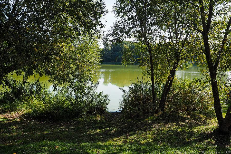 Калининградские власти не могут решить, нужно ли благоустраивать озеро в Макс-Ашманн парке