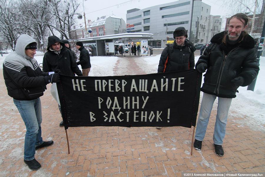 «Дура и молодец»: фоторепортаж с «альтернативного» пикета против «закона Димы Яковлева»