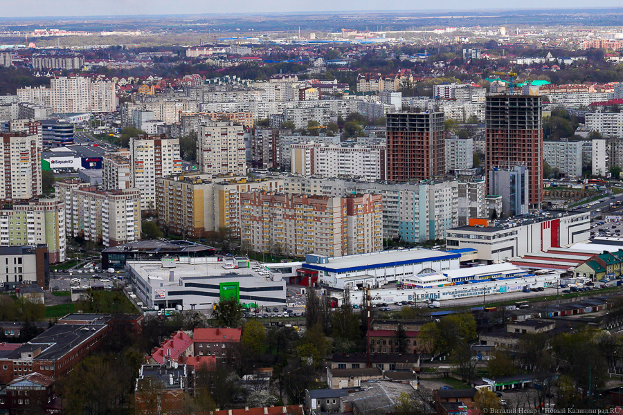 Фото: Виталий Невар / Новый Калининград
