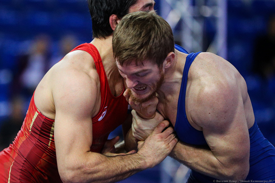 Просто мощь: чемпионат России по греко-римской борьбе идет в Калининграде (фото)