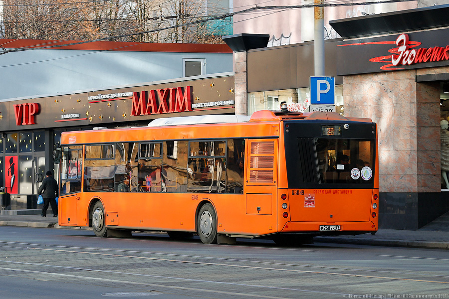 «Как получается, так и едем»: 10 вопросов к муниципальному «ГорТрансу»