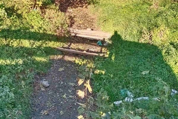 Минприроды: речка Голубая в Калининграде пересохла по естественным причинам