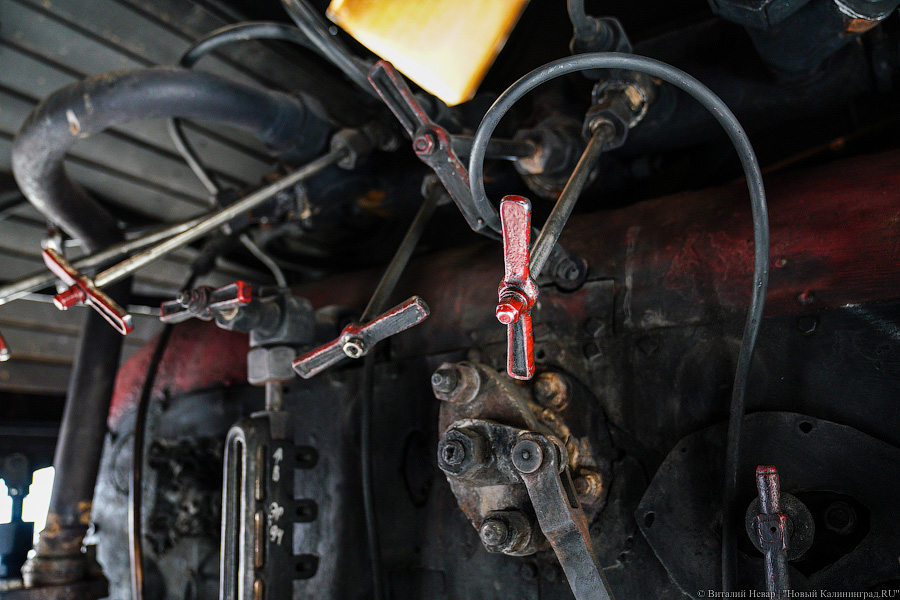 На ретропоезде до Советска: в Калининград привезли туристический паровоз (фото)