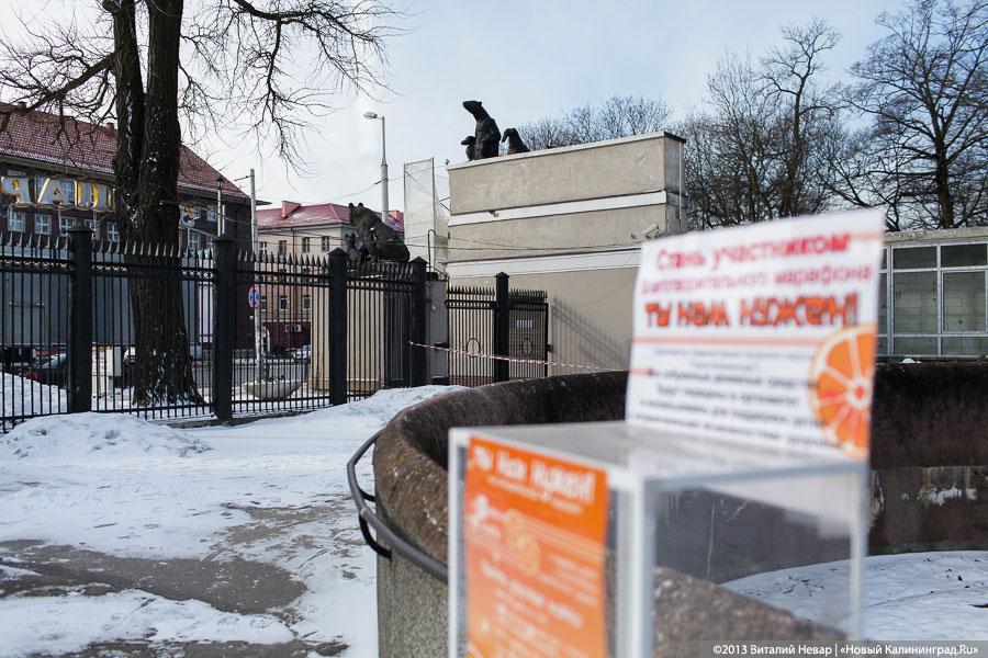 Владелец кафе «Съешь-ка» у входа в зоопарк начал самовольный ремонт фасада (+фото)