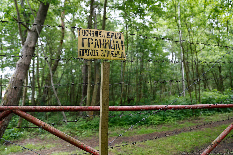 Литва, Латвия и Эстония договорились об ограничении въезда для россиян