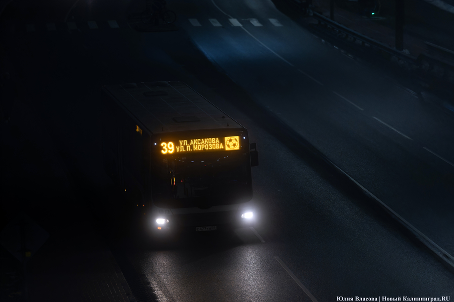 Между огнями и туманами: фотопрогулка по вечернему Калининграду