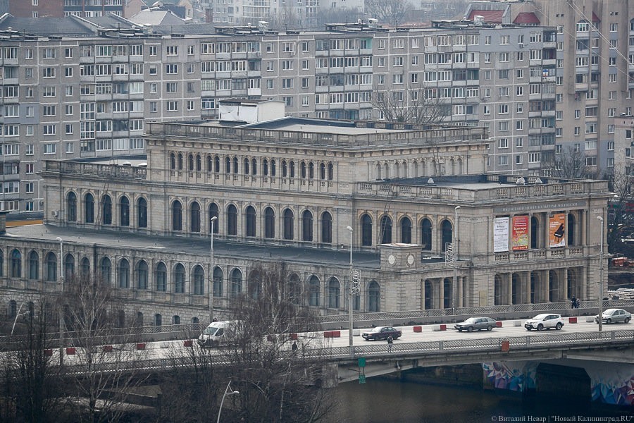 Фото — Виталий Невар, «Новый Калининград»