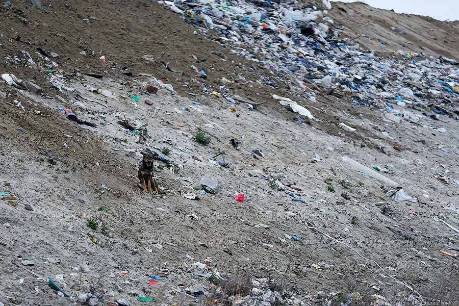 Польский Краков попал в десятку самых загрязненных городов Европы