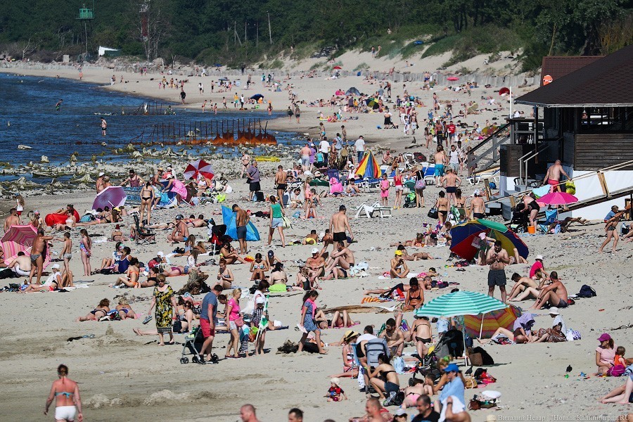 До +27 градусов: в Калининградской области прогнозируют жаркие выходные