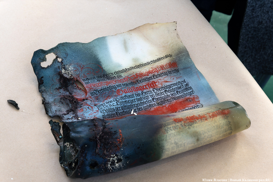 Эхо прошлого: в Калининградском зоопарке извлекли 94-летнюю «капсулу времени» (фото)