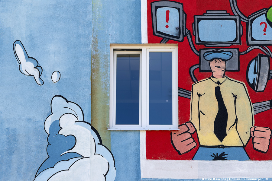 То, чему предстоит стать классикой: на зданиях БФУ им. Канта нарисовали четыре мурала (фото)