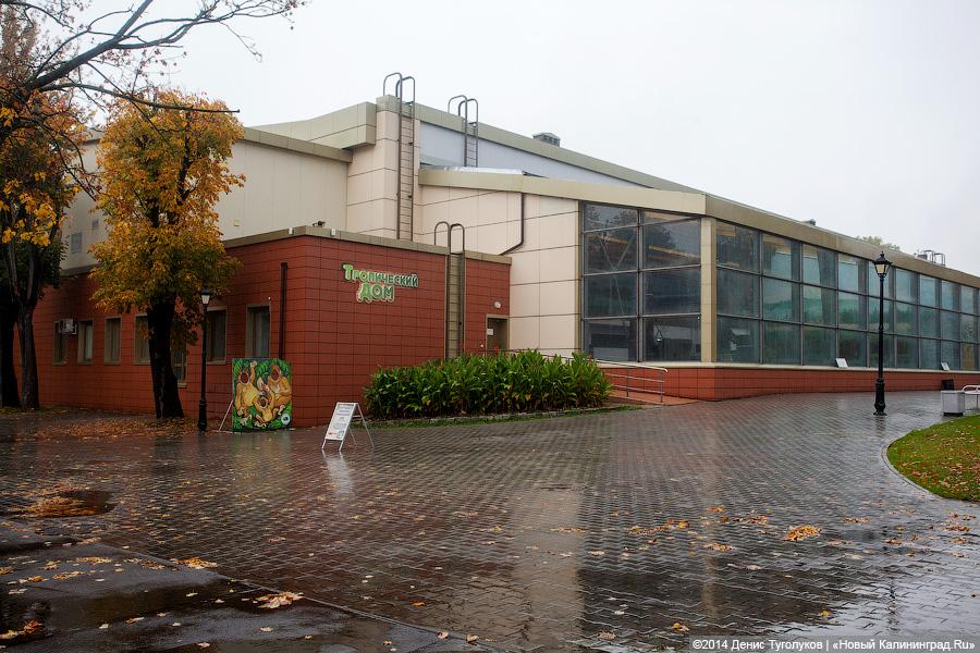 Звериные тропы: прогулка по зоопарку