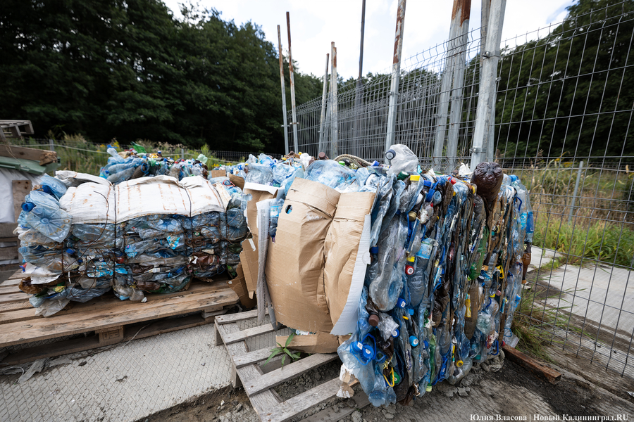 «Стихией управлять не научились»: как глава Минприроды РФ понюхал воздух в Круглово (фото)