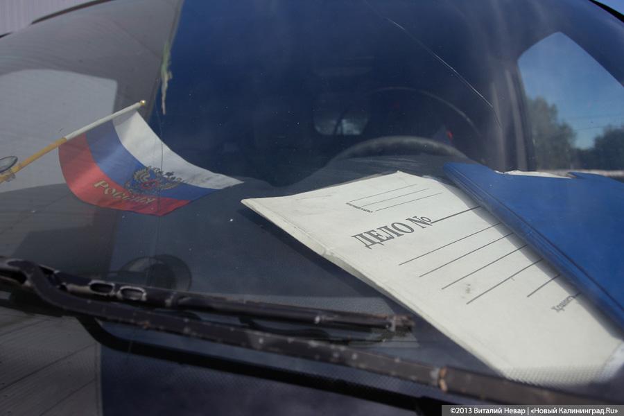 Естественный отбор: что творится за забором Службы защиты животных (фото)