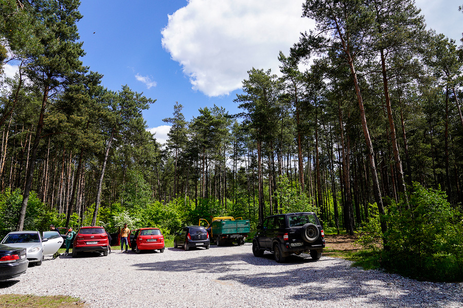 «Не врите мне»: фекалии в воде не портят отдых калининградским купальщикам (фото)