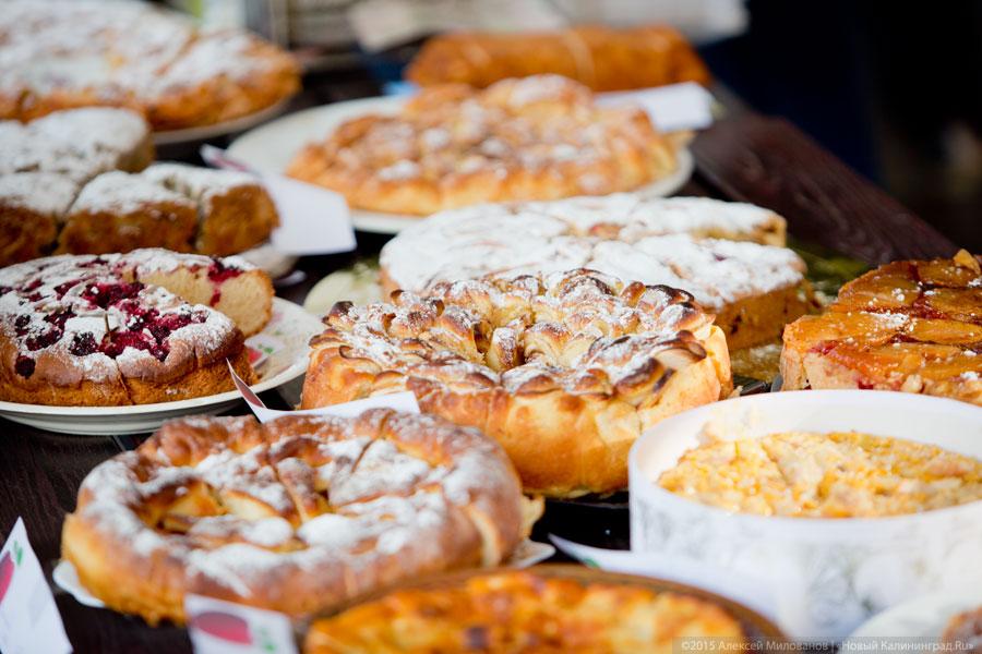 Фото: Алексей Милованов / Новый Калининград