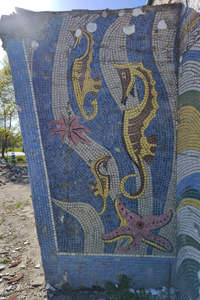 В Заостровье при ремонте магазина обнаружили советскую мозаику (фото)
