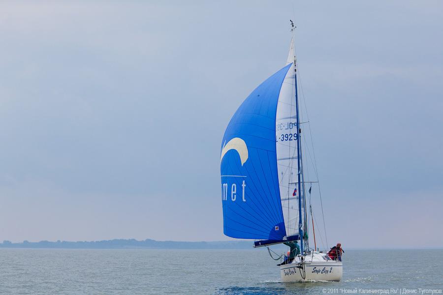 "Гонки под парусами": фоторепортаж "Афиши Нового Калининграда.Ru"