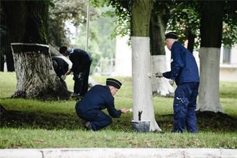 На экс-сити-менеджера Балтийска Зоткина завели второе уголовное дело